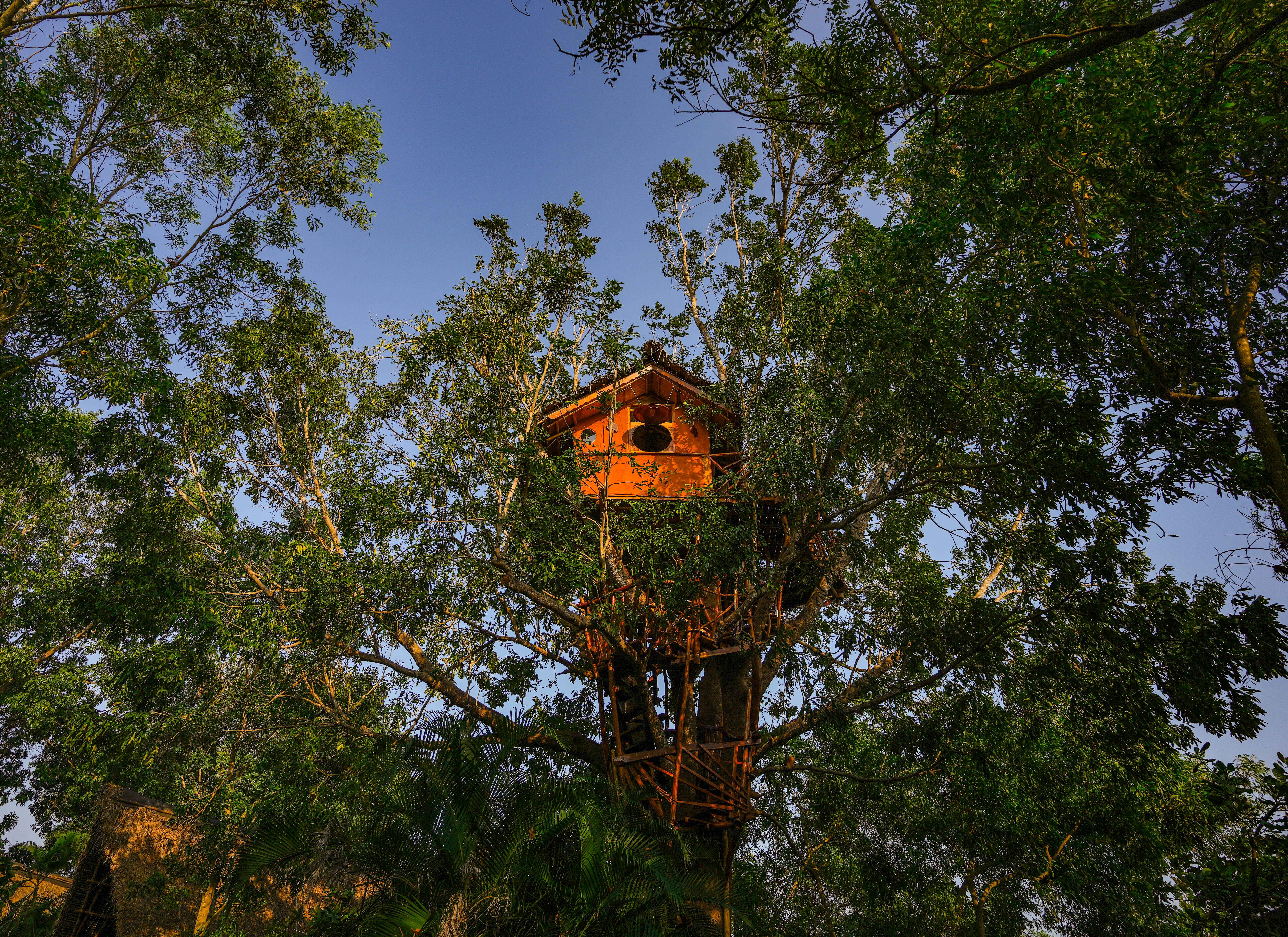 The Khaya Nest
